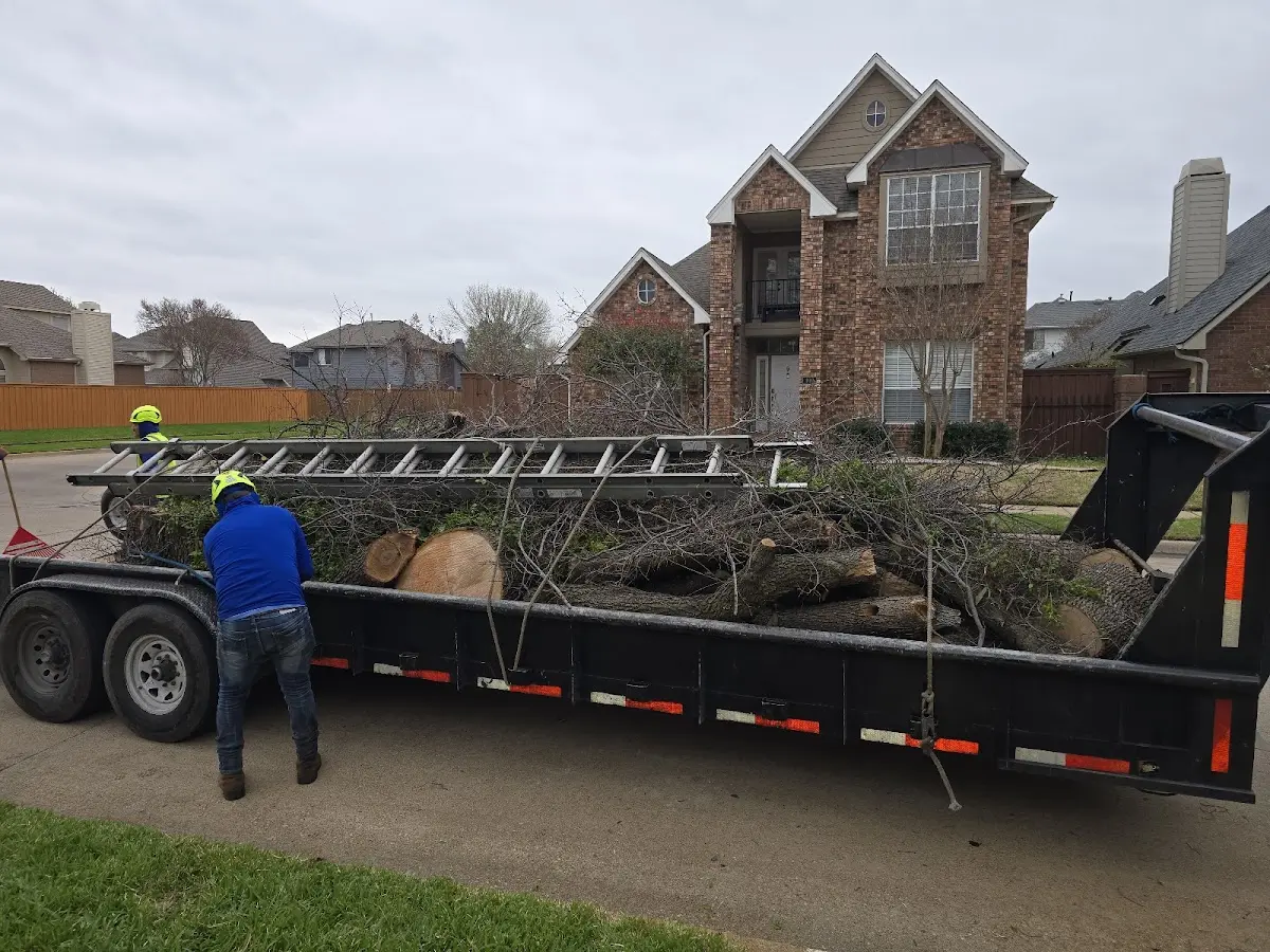 Expert Lot Clearing with proper safety equipment in Woodstock
